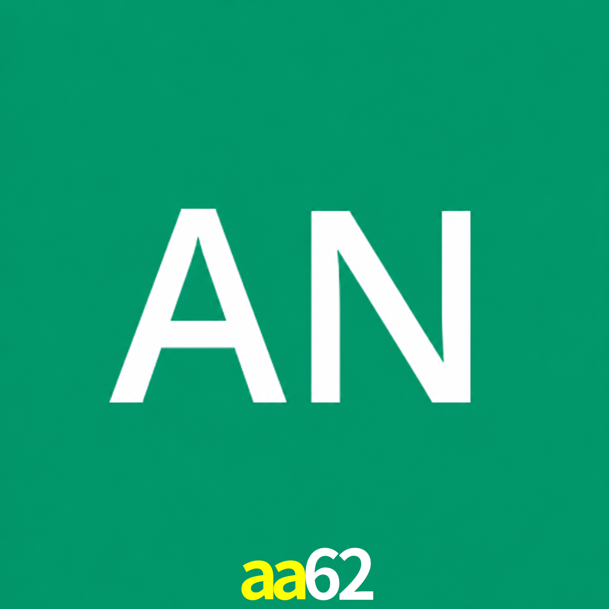 Adi Nugroho - Founder & CEO aa62 Indonesia